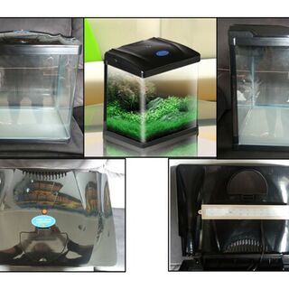 SUNSUN 34L Glass Aquarium