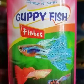 Guppy Fish Flakes
