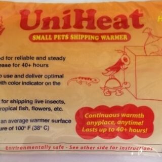 40 Hour Heat Packs - 240 box