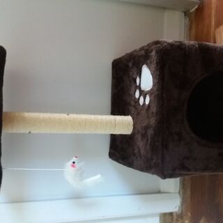 Cat scratching post/climber and house with platform and play mouse