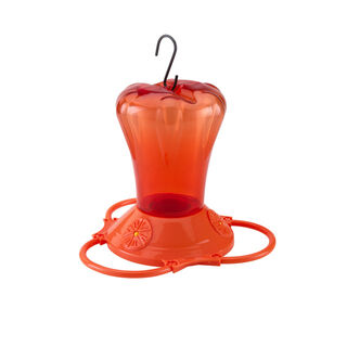 Tui Nectar Feeder