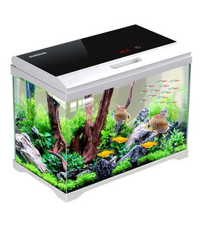42L High Quality aquarium with filter, light and built in thermometer