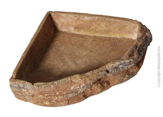 Reptile One Corner Bowl - Small