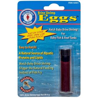 San Francisco Bay Brine Shrimp Eggs 6G