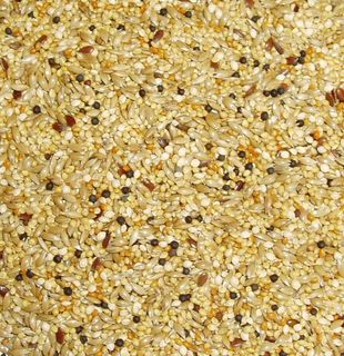 Topflite Finch Mix 1kg