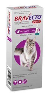 Bravecto PLUS Large Cat 6.25-12.5kg