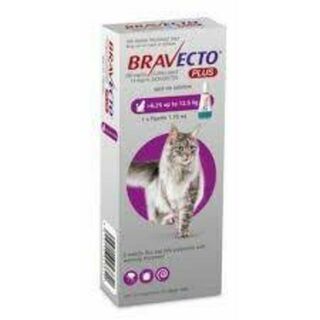 Bravecto PLUS Large Cat 6.25-12.5kg