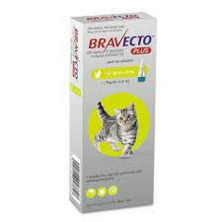 Bravecto PLUS Small Cat 1.2-2.8kg