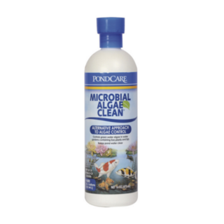 API Pond Microbial Algae Clean 473mL