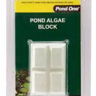 Aqua One Pond Algae Block