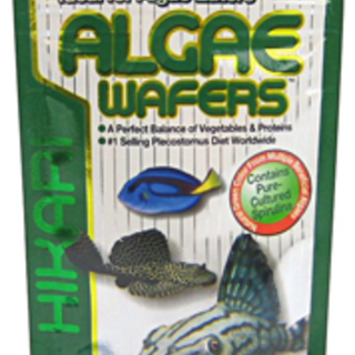 Hikari Tropical Algae Wafer 20gm
