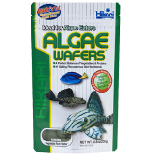 Hikari Tropical Algae Wafers