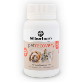 PetRecovery Glucosamine - 100 capsules
