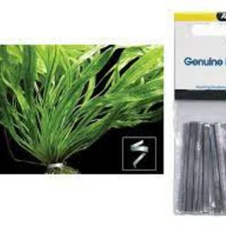 Plant Weight 6cm X 10pcs Pack