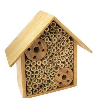 The Bug Hut