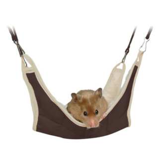 Hammock - Mouse