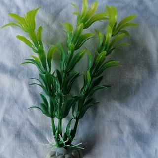 Green and Yellow Plastic Plant 12cm