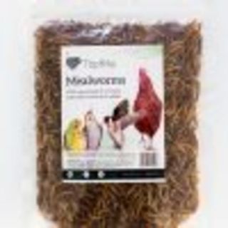 Topflite Dried Mealworms 125g
