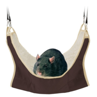 Hammock - Rat