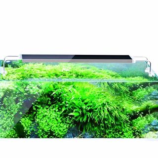 SUNSUN Aquatic Plant Lighting