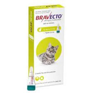 Bravecto Spot-On Small Cat 1.2 to 2.8kg