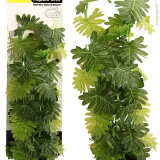 Reptile One Plant - Plant Reptile Philodendron Selloum 40cm