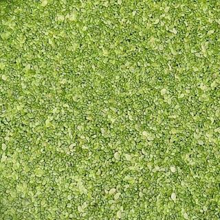 Duck Weed