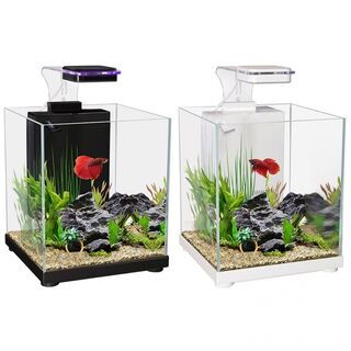 Aqua One Betta Sanctuary