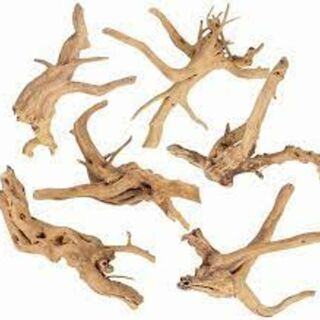 Spider Wood 15-20cm