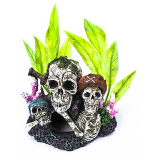 AquaWorld Pirate Skulls Medium