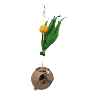 Coconut Hanging with nesting material 35cm