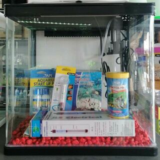 34L Complete Starter Aquarium Set Up For Tropical Fish - Basic