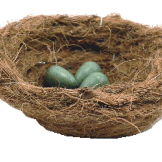 Coconut Nest Liner - Canary