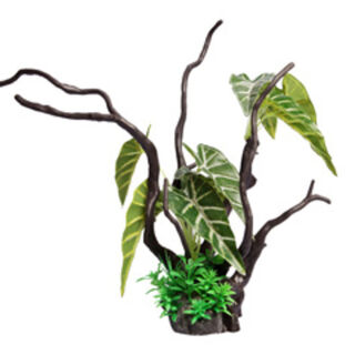 Ecoscape Philodendron Driftwood Green