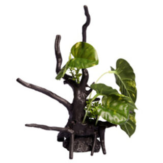 Ecoscape Monstera Driftwood Green