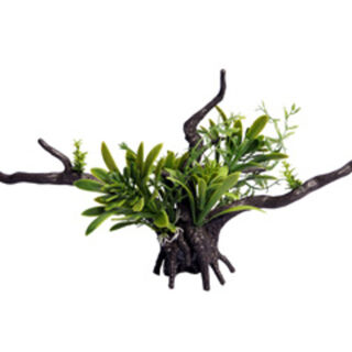 Ecoscape Bromealiad Driftwood Green