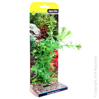 Ecoscape Medium Ludwigia Green