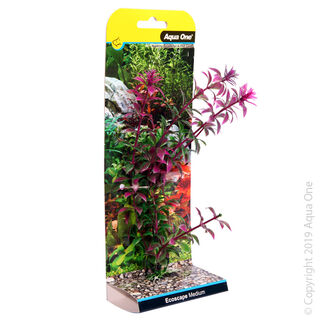 Ecoscape Medium Rotala Red
