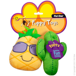 Pet One Dog Toy - Puppy Cactus Family Assorted 2pcs Set