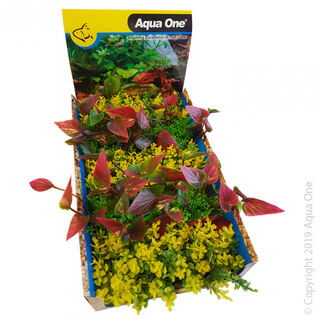 Ecoscape Foreground Catspaw Yellow or Lilly Red