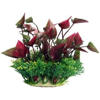 Ecoscape Small Red Lily
