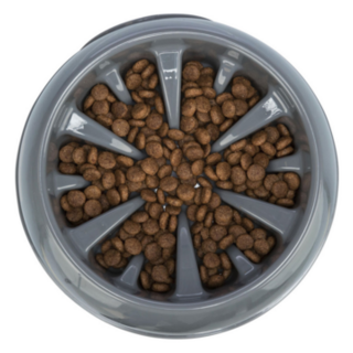 Slow Feed Plastic Bowl