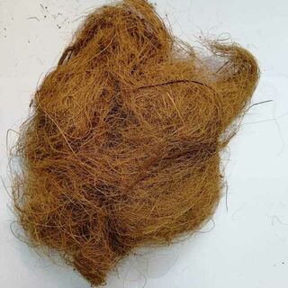 Coconut Fibre
