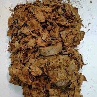 Coconut Husks