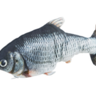 Wiggly Fish 30cm