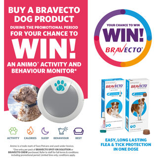 Buy Bravecto Dog to win a Animo Activity & Behaviour Monitor