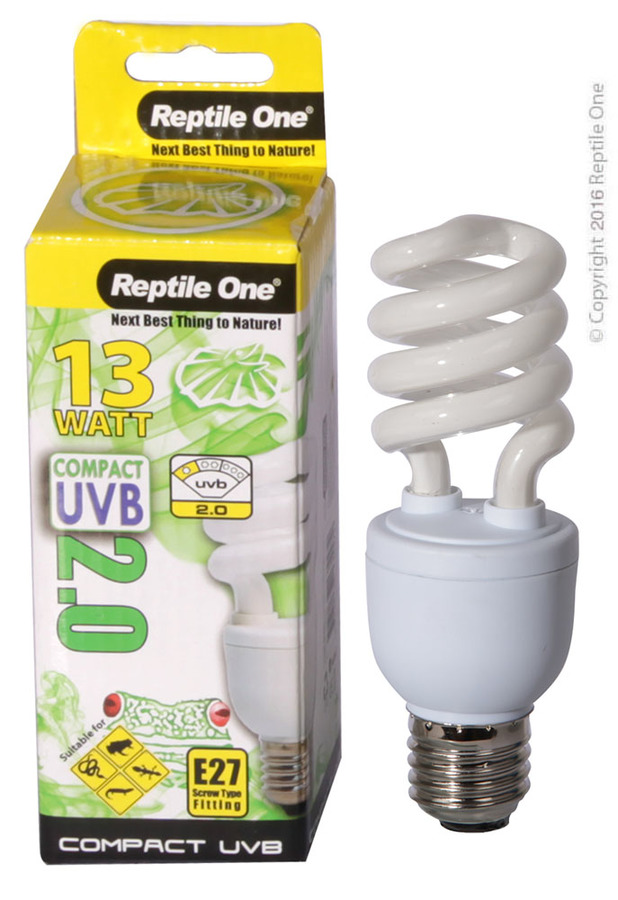 Uvb and heat deals bulb in one