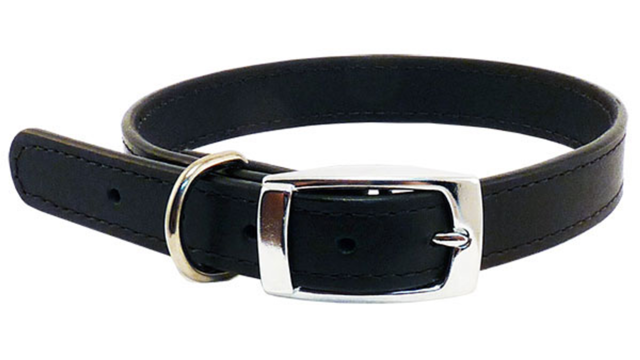 Leather Stitched 25mm Collar - Black 55cm