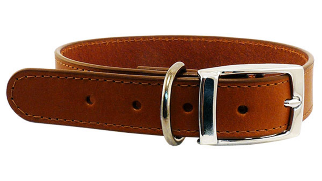 Leather Stitched 32mm Collar - Cognac 65cm