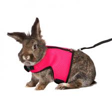 Soft Harness - Rabbit Large